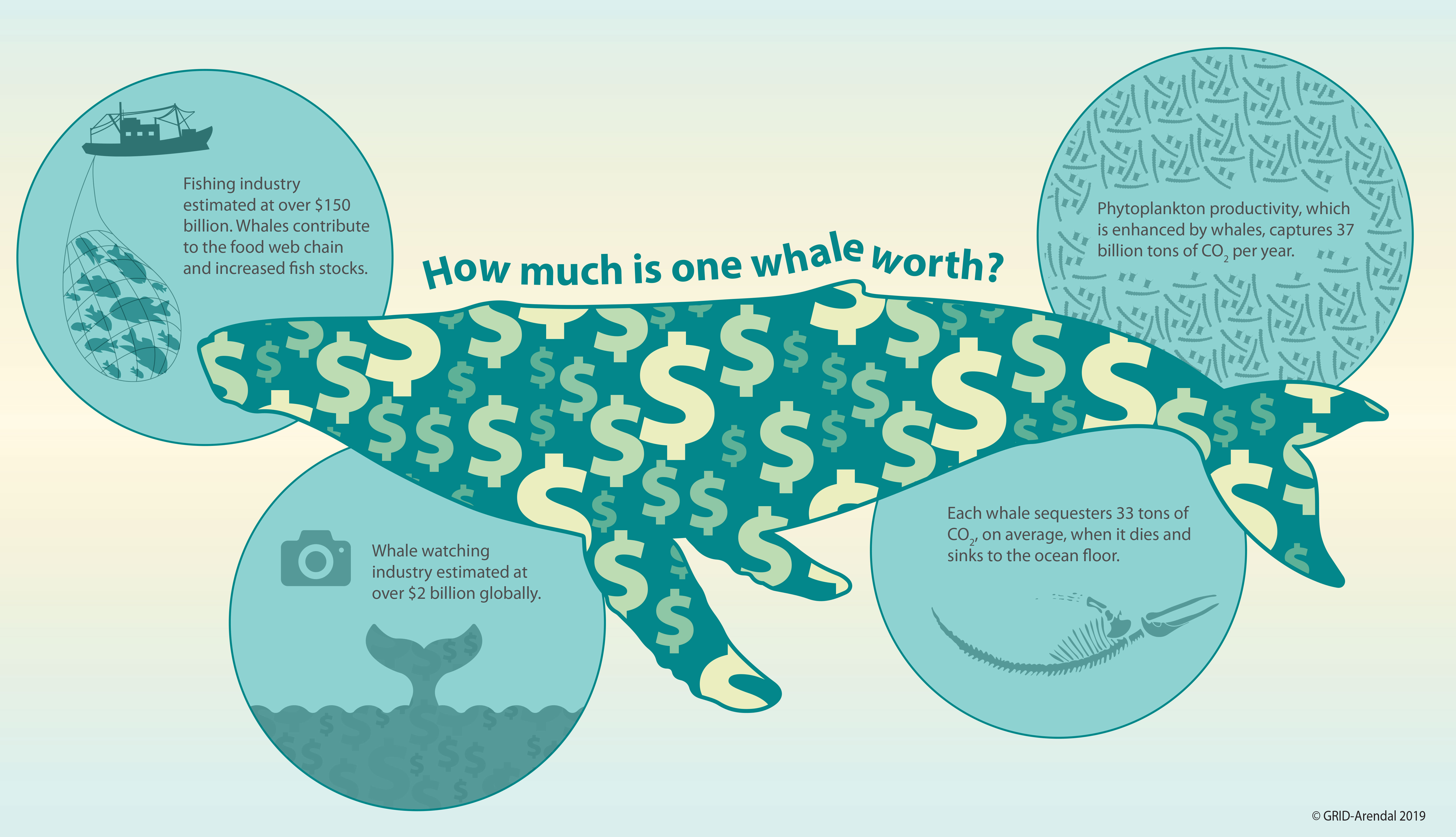 whale stats from IMF article